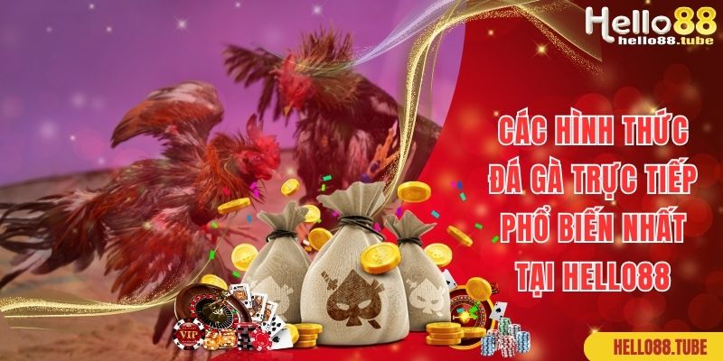 Một số hình thức cá cược đá gà trực tiếp hot hit tại Hello88