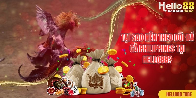 Đá Gà Philippines - Hình Thức Giải Trí Đẳng Cấp Nhất 2024 3 Tại sao nên theo dõi đá gà Philippines tại Hello88?