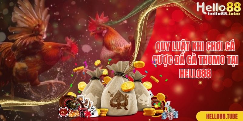 Quy luật khi chơi cá cược đá gà Thomo tại Hello88